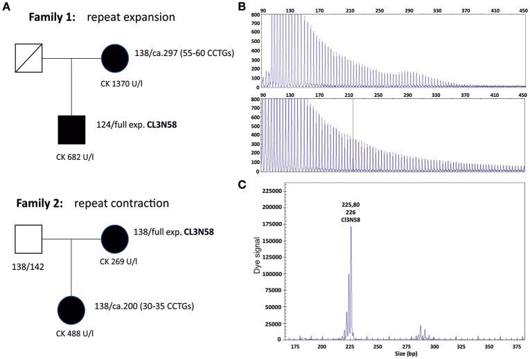 https://cdn.ncbi.nlm.nih.gov/pmc/blobs/f880/6020772/6f57426c6280/fneur-09-00463-g0003.jpg