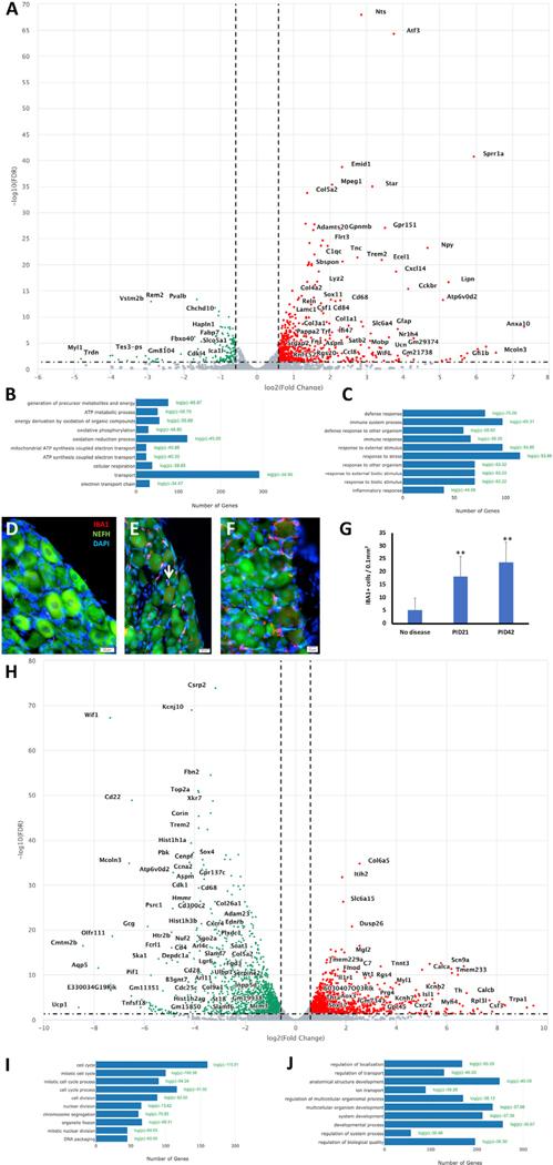 https://cdn.ncbi.nlm.nih.gov/pmc/blobs/f880/9354470/9e21115b7499/nihms-1826427-f0002.jpg