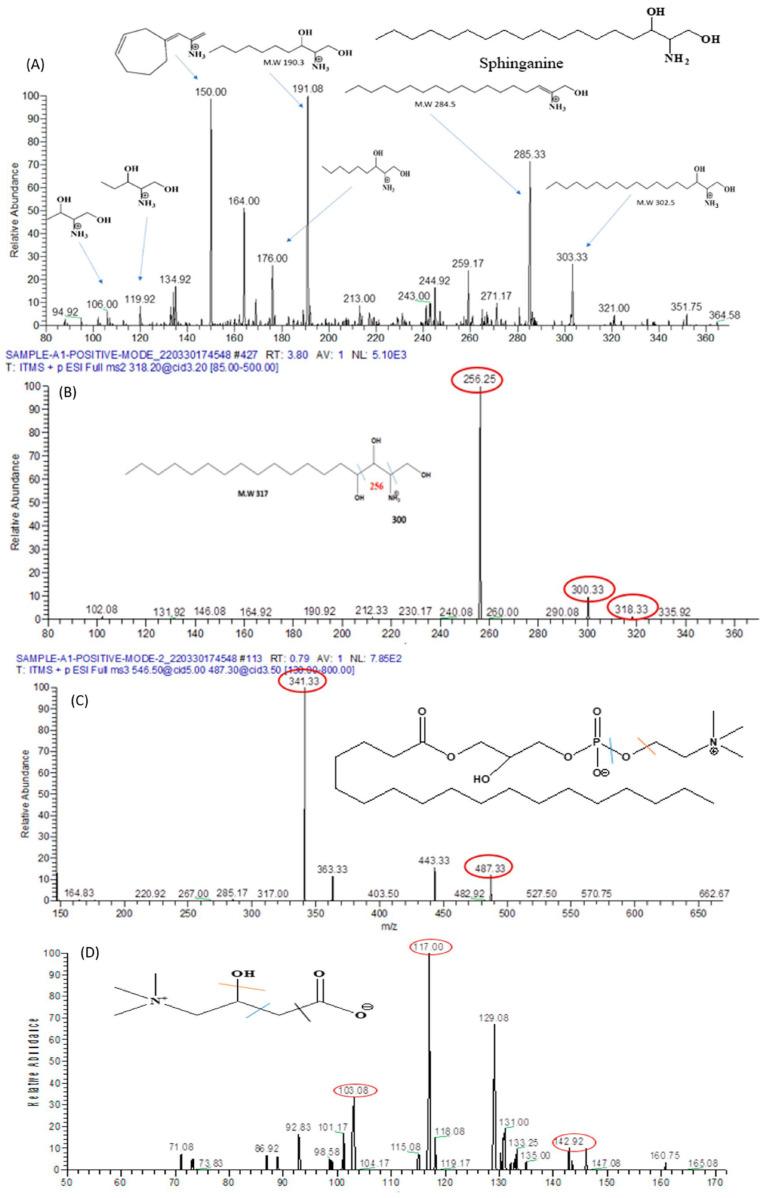 https://cdn.ncbi.nlm.nih.gov/pmc/blobs/f882/10526798/6dfe91ad6924/biomolecules-13-01424-g015.jpg