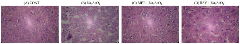 https://cdn.ncbi.nlm.nih.gov/pmc/blobs/f882/10526798/c8e7b4c2aa88/biomolecules-13-01424-g019.jpg