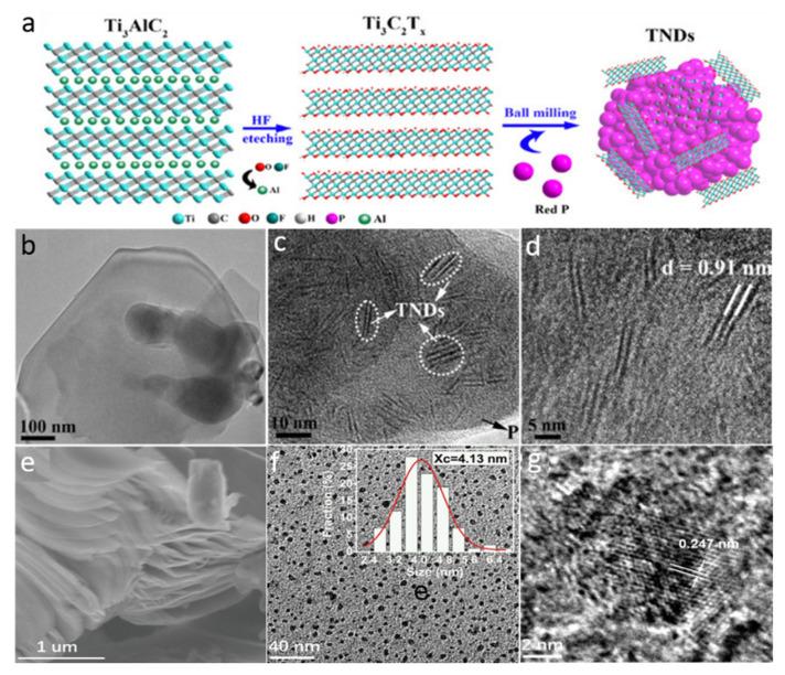 https://cdn.ncbi.nlm.nih.gov/pmc/blobs/f885/9370057/97a7d1f56c89/molecules-27-04909-g006.jpg