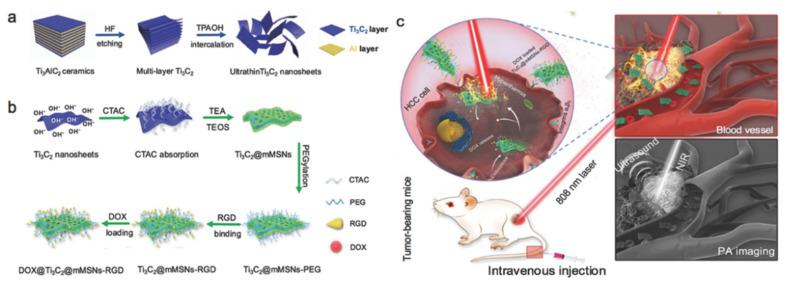 https://cdn.ncbi.nlm.nih.gov/pmc/blobs/f885/9370057/bc9e89eef0f2/molecules-27-04909-g013.jpg