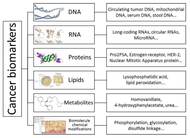 https://cdn.ncbi.nlm.nih.gov/pmc/blobs/f889/5596443/9a0493a5f885/thnov07p3559g001.jpg