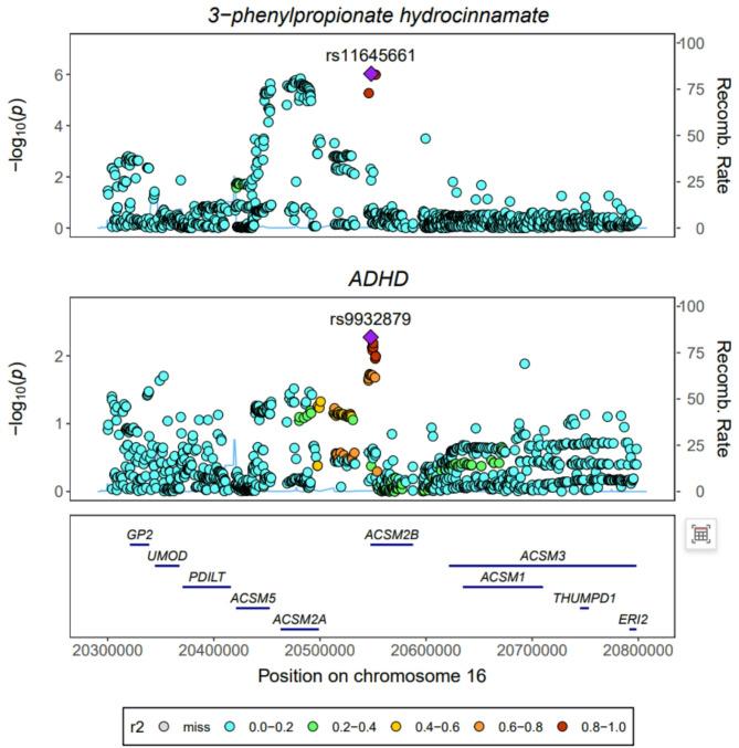 https://cdn.ncbi.nlm.nih.gov/pmc/blobs/f88d/12084988/997569dbfb98/12888_2025_6951_Fig5_HTML.jpg