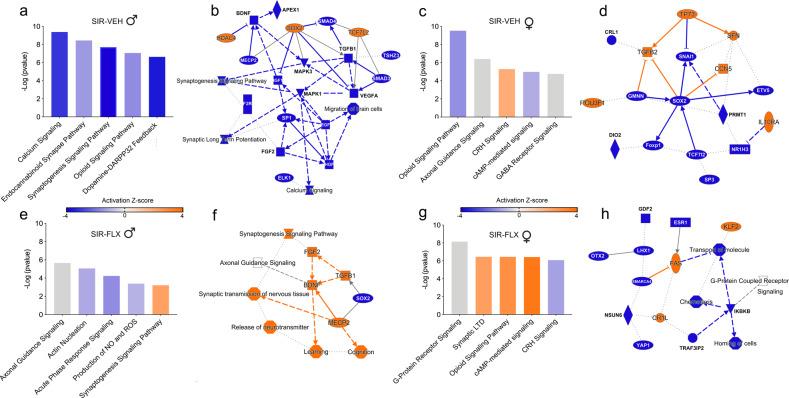 https://cdn.ncbi.nlm.nih.gov/pmc/blobs/f88d/8760069/98c5ecf47e4a/41380_2021_1145_Fig4_HTML.jpg