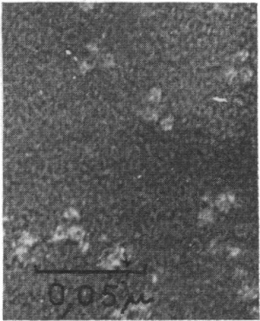 https://cdn.ncbi.nlm.nih.gov/pmc/blobs/f88e/223696/4bbb218daa2f/pnas00105-0371-b.jpg