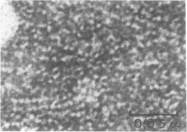 https://cdn.ncbi.nlm.nih.gov/pmc/blobs/f88e/223696/ec781bc0653f/pnas00105-0372-c.jpg