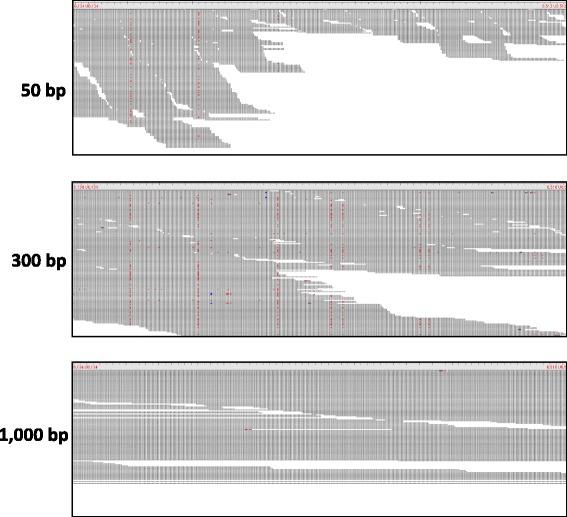 https://cdn.ncbi.nlm.nih.gov/pmc/blobs/f891/4642669/6381fb2555b0/12859_2015_801_Fig9_HTML.jpg