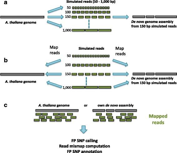 https://cdn.ncbi.nlm.nih.gov/pmc/blobs/f891/4642669/e907762b3626/12859_2015_801_Fig1_HTML.jpg