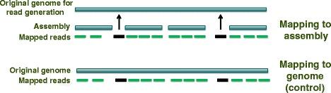 https://cdn.ncbi.nlm.nih.gov/pmc/blobs/f891/4642669/ff3b98aa482c/12859_2015_801_Fig2_HTML.jpg