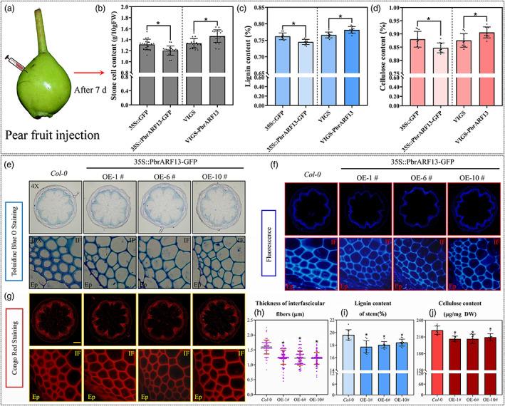 https://cdn.ncbi.nlm.nih.gov/pmc/blobs/f895/11376744/c105b9d6bafa/PBI-21-1408-g010.jpg