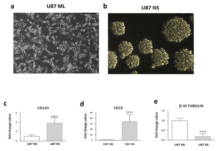 https://cdn.ncbi.nlm.nih.gov/pmc/blobs/f895/8950115/21c60eef9aa4/ijms-23-03001-g001.jpg