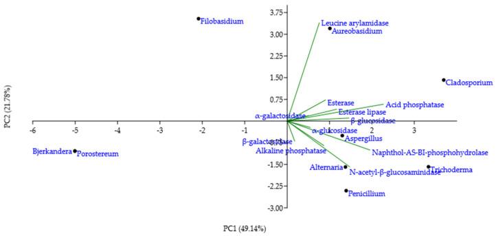 https://cdn.ncbi.nlm.nih.gov/pmc/blobs/f896/9224695/0f3421a210ab/jof-08-00589-g005.jpg