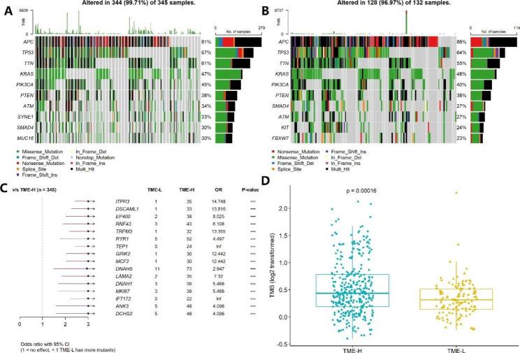 https://cdn.ncbi.nlm.nih.gov/pmc/blobs/f897/10436413/4686063b6a20/12885_2023_11277_Fig5_HTML.jpg