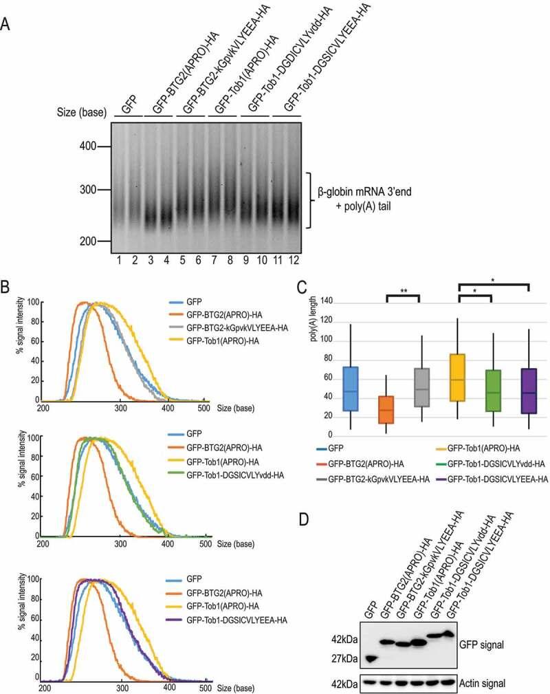 https://cdn.ncbi.nlm.nih.gov/pmc/blobs/f89b/8632095/2746c92a5f31/KRNB_A_1925476_F0005_C.jpg
