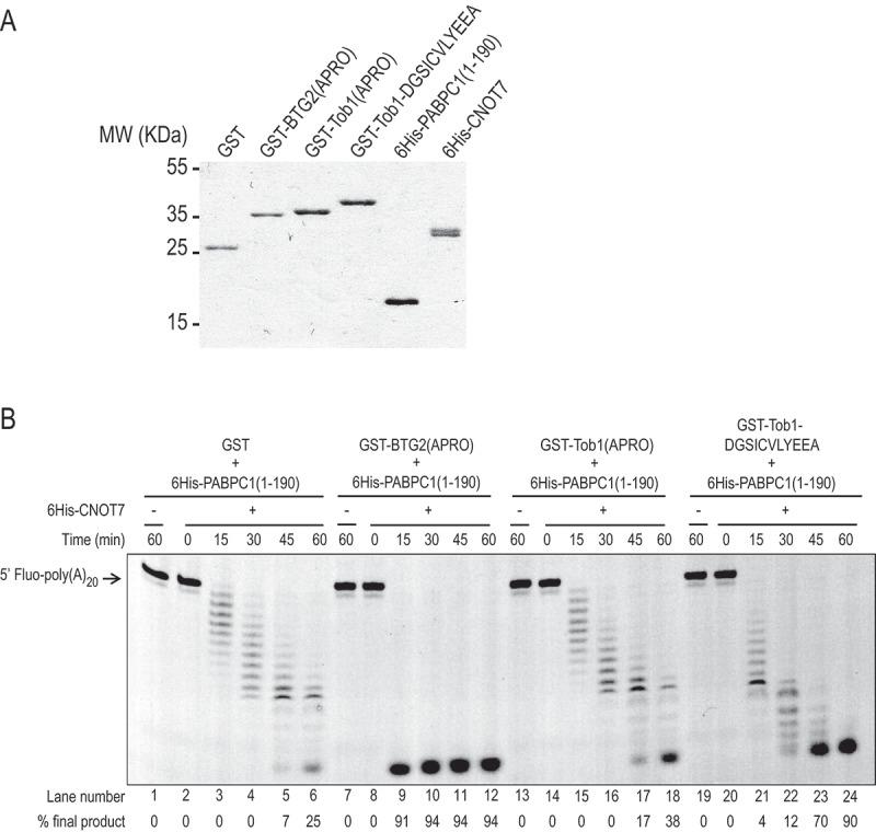 https://cdn.ncbi.nlm.nih.gov/pmc/blobs/f89b/8632095/89c35a3cda32/KRNB_A_1925476_F0006_B.jpg