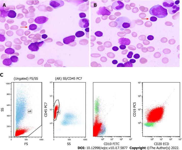 https://cdn.ncbi.nlm.nih.gov/pmc/blobs/f89c/9258390/bc8c32ac1156/WJCC-10-5877-g001.jpg