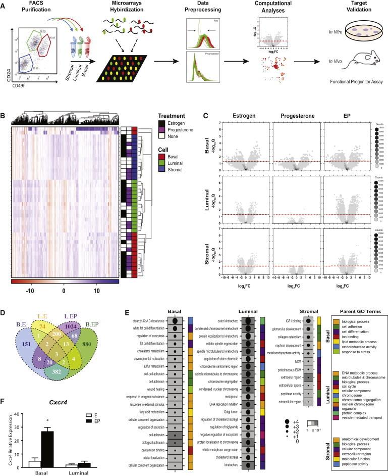 https://cdn.ncbi.nlm.nih.gov/pmc/blobs/f89d/4376056/213bddec16d7/gr1.jpg