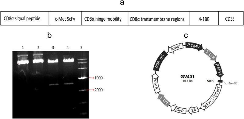https://cdn.ncbi.nlm.nih.gov/pmc/blobs/f89e/9161852/1765ee24bd68/KBIE_A_2058149_F0001_OC.jpg