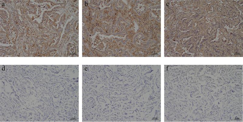 https://cdn.ncbi.nlm.nih.gov/pmc/blobs/f89e/9161852/6e816acccca4/KBIE_A_2058149_F0006_OC.jpg