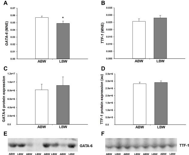https://cdn.ncbi.nlm.nih.gov/pmc/blobs/f8a0/5614422/2ad6489279bd/pone.0181185.g004.jpg