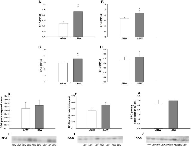 https://cdn.ncbi.nlm.nih.gov/pmc/blobs/f8a0/5614422/568d490d30ca/pone.0181185.g001.jpg