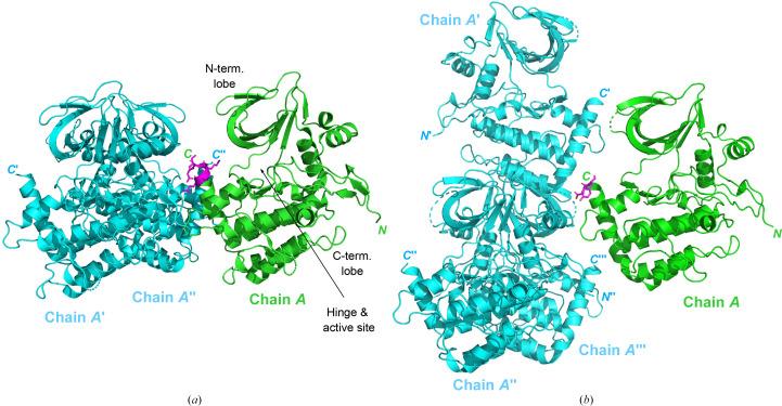 https://cdn.ncbi.nlm.nih.gov/pmc/blobs/f8a1/11394123/33535ad99456/d-80-00661-fig4.jpg