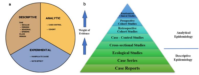 https://cdn.ncbi.nlm.nih.gov/pmc/blobs/f8a1/11695538/9d2919763072/43556_2024_238_Fig1_HTML.jpg