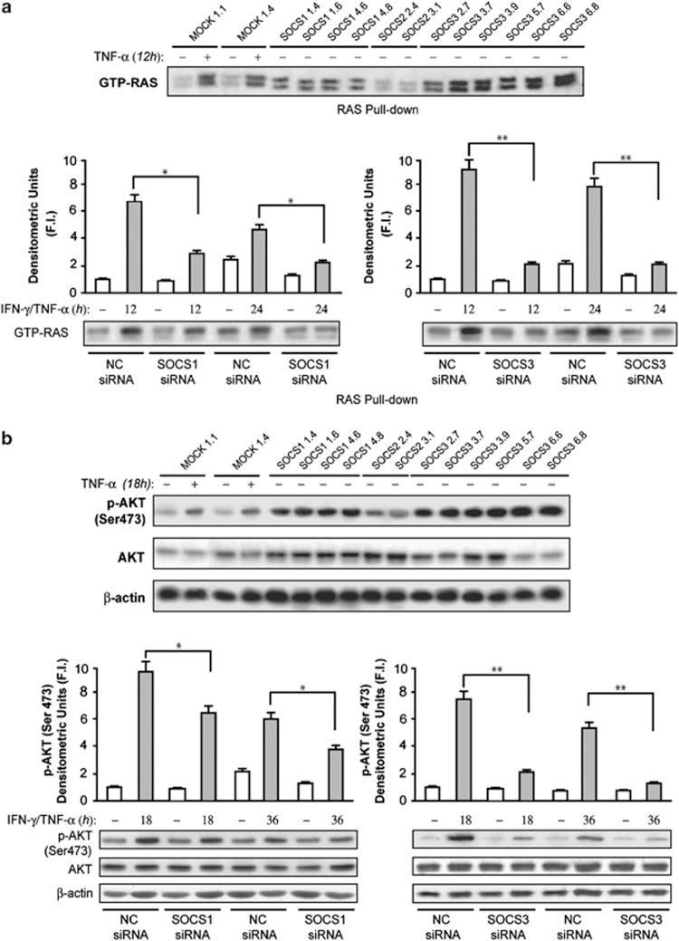 https://cdn.ncbi.nlm.nih.gov/pmc/blobs/f8a1/3388239/36be5d0c3af4/cddis201269f3.jpg