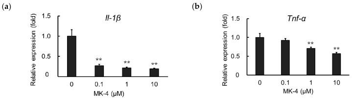 https://cdn.ncbi.nlm.nih.gov/pmc/blobs/f8a2/6540242/46fff0430af7/ijms-20-02317-g003.jpg
