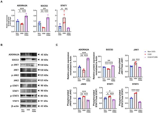https://cdn.ncbi.nlm.nih.gov/pmc/blobs/f8a3/10097812/26e59a676170/41598_2023_32744_Fig3_HTML.jpg
