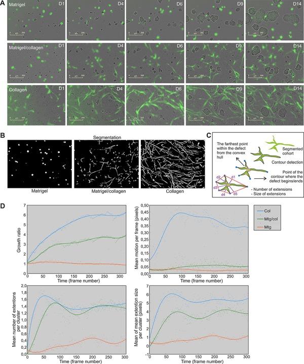 https://cdn.ncbi.nlm.nih.gov/pmc/blobs/f8a4/4745780/b1179f008c50/oncotarget-06-30035-g002.jpg