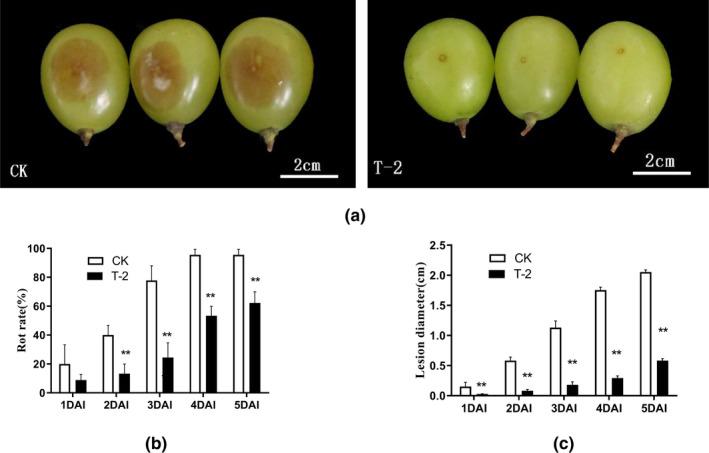 https://cdn.ncbi.nlm.nih.gov/pmc/blobs/f8a5/9548374/577d9a73edf1/FSN3-10-3219-g006.jpg