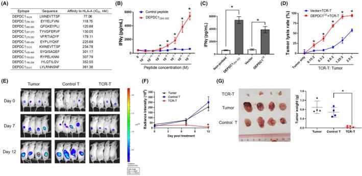 https://cdn.ncbi.nlm.nih.gov/pmc/blobs/f8a6/11463088/337bb2434f9b/CAS-115-3041-g009.jpg