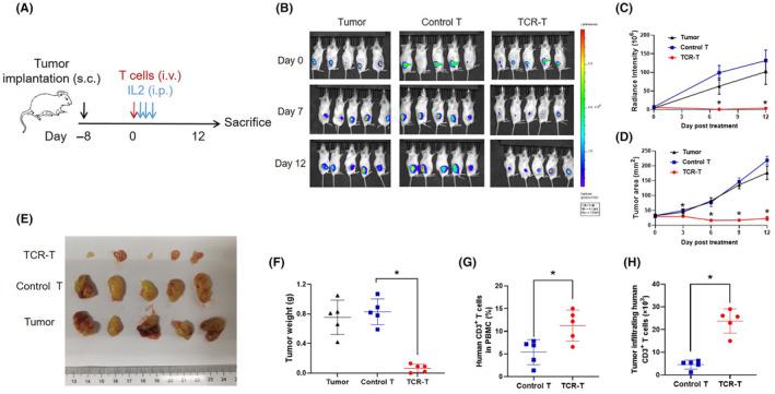 https://cdn.ncbi.nlm.nih.gov/pmc/blobs/f8a6/11463088/694201fd13dc/CAS-115-3041-g008.jpg
