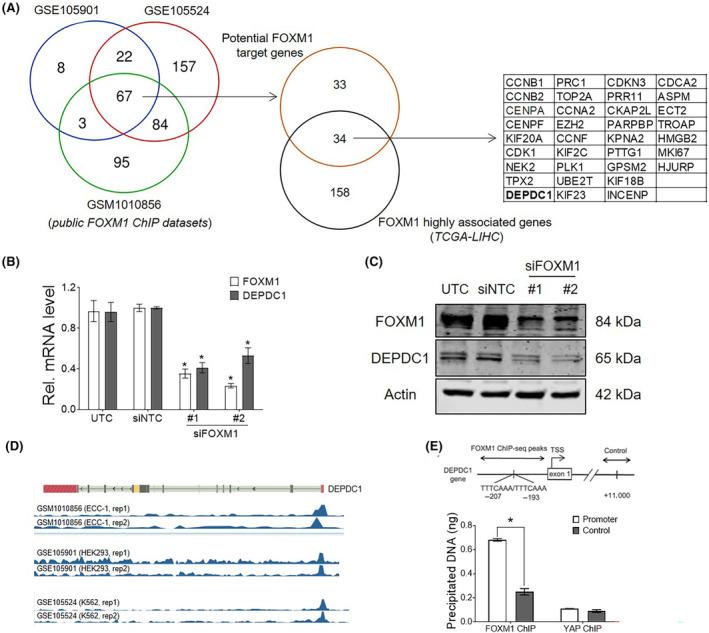 https://cdn.ncbi.nlm.nih.gov/pmc/blobs/f8a6/11463088/9e707df6730c/CAS-115-3041-g003.jpg