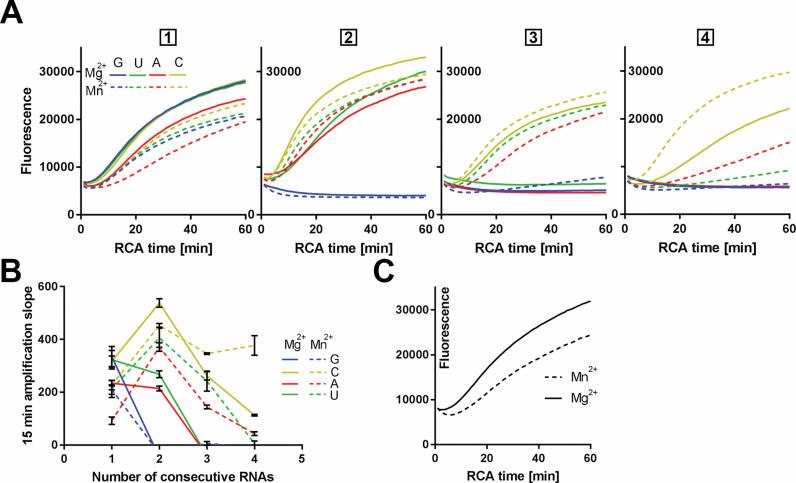 https://cdn.ncbi.nlm.nih.gov/pmc/blobs/f8a6/5909454/44de49b0a849/gky190fig3.jpg