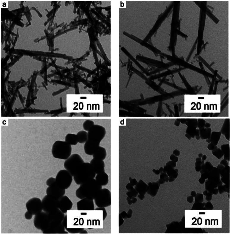 https://cdn.ncbi.nlm.nih.gov/pmc/blobs/f8a7/11498270/5c2ef3170080/d4ra05732e-f11.jpg