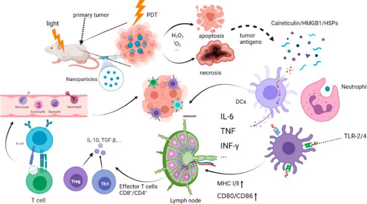 https://cdn.ncbi.nlm.nih.gov/pmc/blobs/f8a7/11498270/e9053491c451/d4ra05732e-f21.jpg