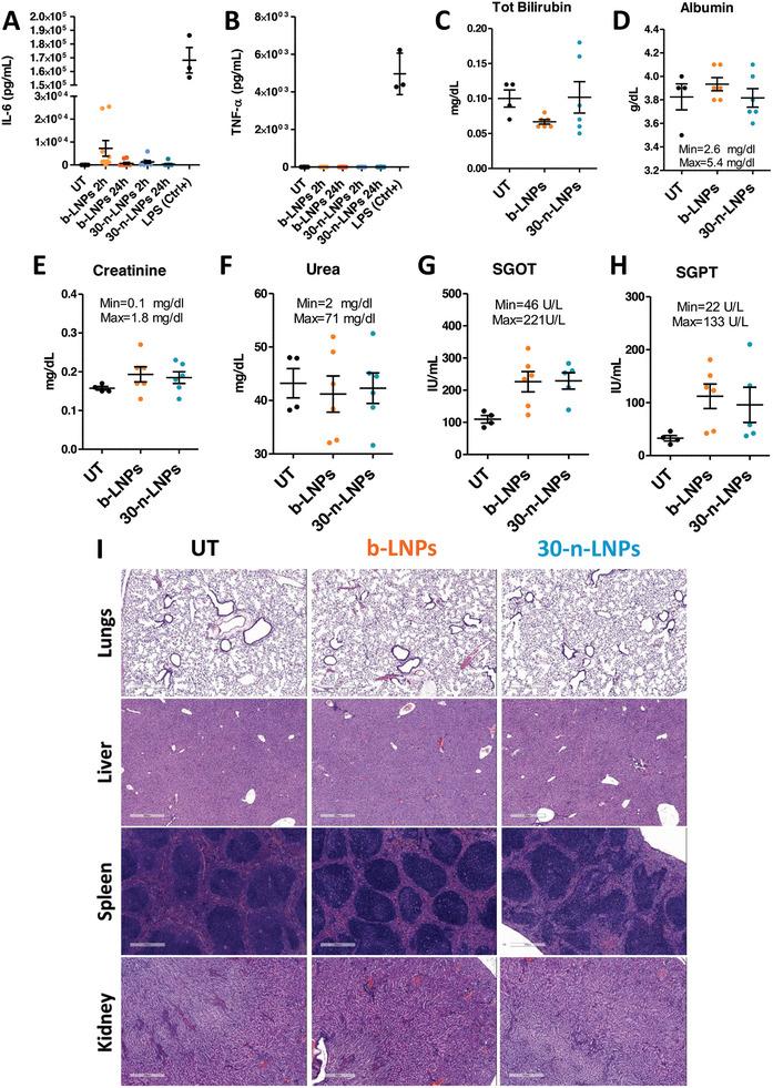 https://cdn.ncbi.nlm.nih.gov/pmc/blobs/f8a8/11744673/762ee12beb04/ADVS-12-2408744-g005.jpg