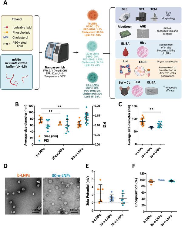 https://cdn.ncbi.nlm.nih.gov/pmc/blobs/f8a8/11744673/77c388d18e7e/ADVS-12-2408744-g002.jpg