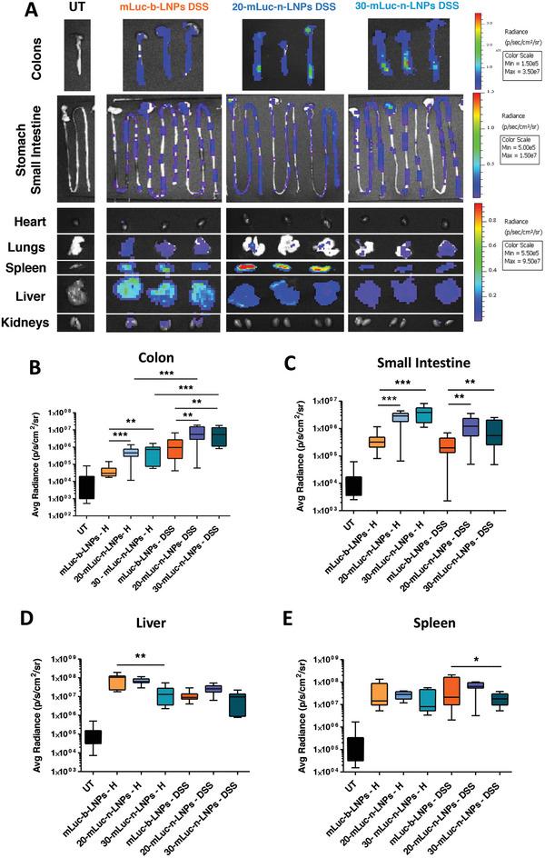 https://cdn.ncbi.nlm.nih.gov/pmc/blobs/f8a8/11744673/cbab73e17ea9/ADVS-12-2408744-g004.jpg