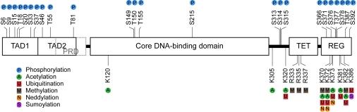https://cdn.ncbi.nlm.nih.gov/pmc/blobs/f8a9/2806023/82a4f8ea545a/aging-01-458-g001.jpg