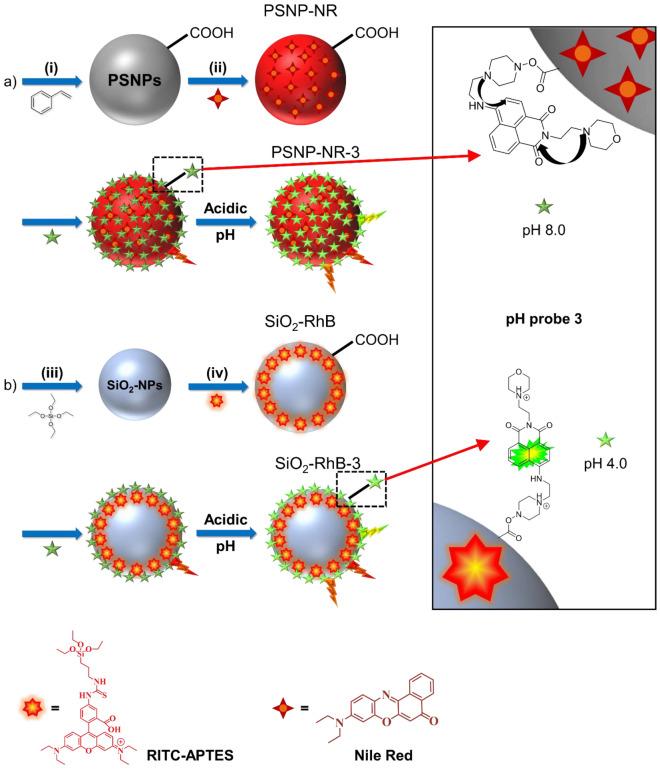 https://cdn.ncbi.nlm.nih.gov/pmc/blobs/f8a9/9873940/e75d45cc3dc5/41598_2023_28203_Fig3_HTML.jpg