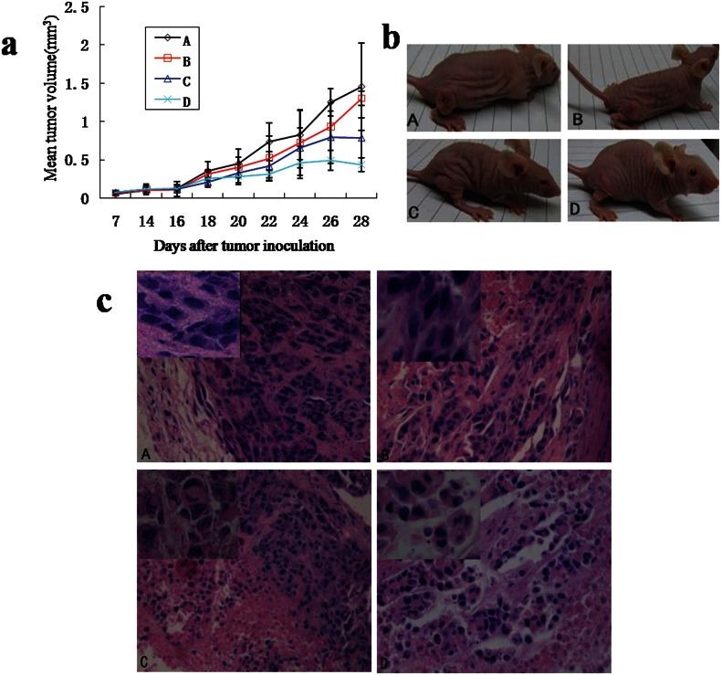 https://cdn.ncbi.nlm.nih.gov/pmc/blobs/f8aa/3654338/3deb7730f04c/cln-68-05-694-g004.jpg