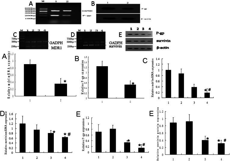 https://cdn.ncbi.nlm.nih.gov/pmc/blobs/f8aa/3654338/476321b496b8/cln-68-05-694-g003.jpg