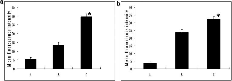 https://cdn.ncbi.nlm.nih.gov/pmc/blobs/f8aa/3654338/6d453853b03f/cln-68-05-694-g002.jpg