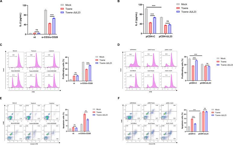 https://cdn.ncbi.nlm.nih.gov/pmc/blobs/f8ab/11253622/028104bde125/mbio.01191-24.f003.jpg
