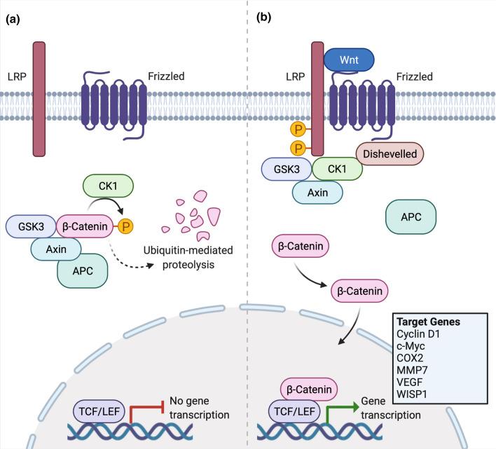 https://cdn.ncbi.nlm.nih.gov/pmc/blobs/f8ac/9217905/bb237bd12fc6/11523_2022_876_Fig1_HTML.jpg