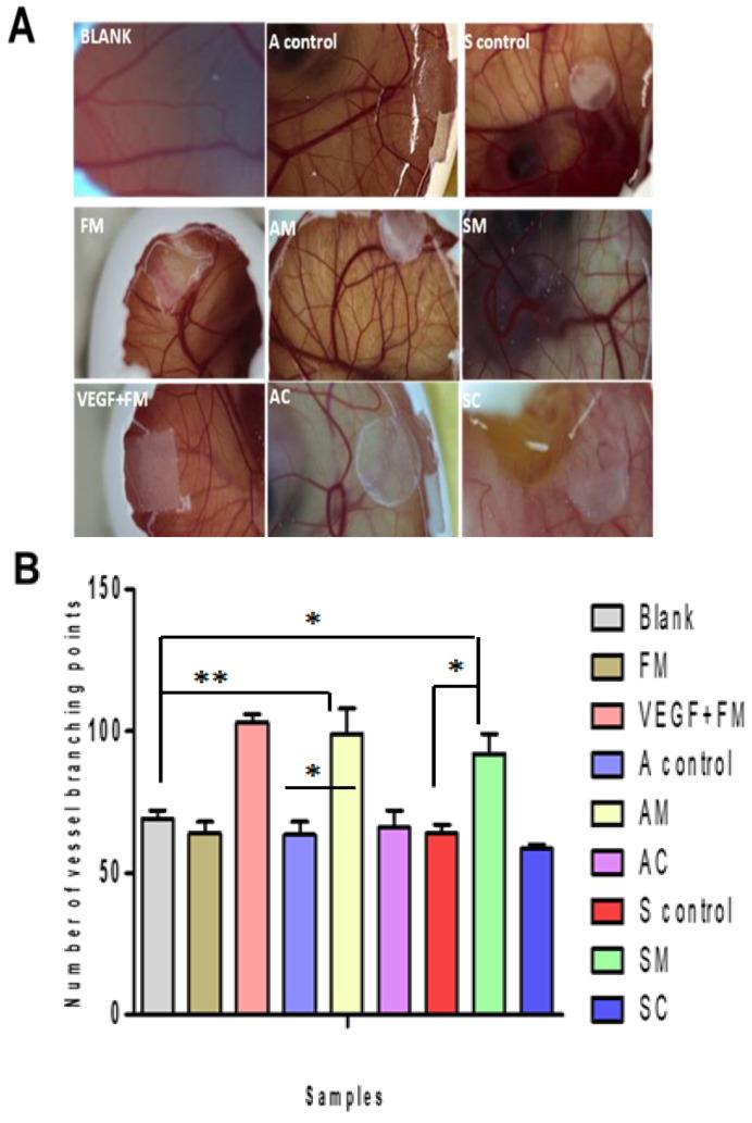 https://cdn.ncbi.nlm.nih.gov/pmc/blobs/f8af/10531947/cb906b28ca47/jfb-14-00450-g008.jpg